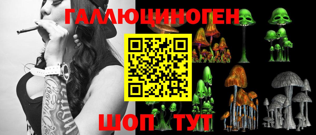 Псилоцибиновые грибы прущие грибы Урус-Мартан